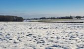 Excursión Senderismo Havelange - Méan-Maffe sous la neige... - Photo 7