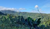 Trail Walking Le Lorrain - Boucle Vallon - Moreau - Carabin - Chemin Etoile - Photo 17