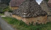 Tour Wandern La Chapelle-Aubareil - Lavoir de Valojoux - Photo 3