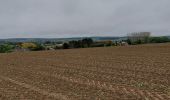 Trail Walking Mettet - Biesme 141022 - Photo 14