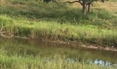 Trail Walking Sainte-Anne - Belle mare  - Photo 2