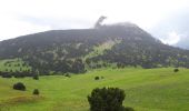 Trail Walking Châtillon-en-Diois - Le Jocou depuis le col de Menée  - Photo 5