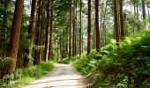 Tocht Stappen Tervuren - Tervuren 2 - parcours arboretum - Photo 1