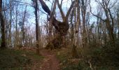 Tocht Stappen Besançon - Forêt de CHAILLUZ Fort de la Dame Blanche - Photo 4