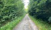 Randonnée Marche Dampleux - en Forêt de Retz_101_05_2026_sur la Route des Briolles et la Route de Hautwison - Photo 1
