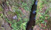 Trail Walking Santana - Levada  - Photo 14