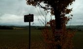 Tour Wandern Montgey - Montgey-novembre-2021 - Photo 8