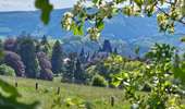 Randonnée Marche Stoumont - Balade à Stoumont  - Photo 18
