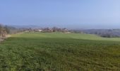 Tocht Stappen Champdieu - Randonnée sur les hauteurs de Champdieu  - Photo 10