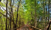 Tour Fahrrad Spa - Spa nach Trois-Ponts mit dem Fahrrad über den RAVeL  - Photo 1