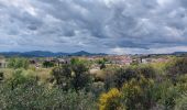 Trail Walking La Motte - a motte/Le muy  - Photo 4