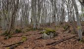 Tour Wandern Proveysieux - L'Oeuillon de Proveyzieux et La Grotte de la Barre Mangin - Photo 1