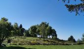 Trail Walking Le Tholy - sentier du blaireau jusqu'en Ecosse - Photo 4