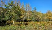 Trail Walking Collobrières - plateau Lambert en partant de Collobrieres - Photo 7