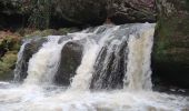 Tour Wandern Waldbillig - La cascade de Mullerthal - Photo 11