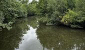 Trail Walking Val-du-Layon - Val-du-Layon  - Photo 2