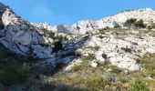 Tocht Stappen Marseille - Marseille-Callelongue : Cols de la Galinette et de la Selle-Grand Malvallon-Calanques Marseille Veyre et de la Mounine - Photo 6