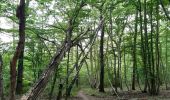 Tour Wandern Namen - aiguilles et forêt domaniale de Marche les Dames - Photo 3