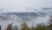 Excursión Senderismo Waldkirch - Waldkirch - grande boucle des ruines du Schwanzenberg - Photo 20