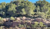 Excursión Senderismo Castelnau-de-Guers - L’étendoir aux fées  - Photo 5