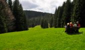 Tour Zu Fuß Ilmenau - Grüner Balken - Photo 5