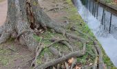 Tour Wandern Cébazat - PARC PIERRE MONTGROUX DE CEBAZAT - Photo 2