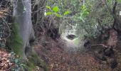 Trail Walking Elven - PR_56_Elven_AA_01_Bois-Et-Cours-D-Eau_Circuit1b_20210707 - Photo 1