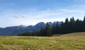 Randonnée Marche Crêts-en-Belledonne - le grand Rocher via le Barioz et le refuge du Cret du Poulet - Photo 4