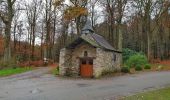 Tour Wandern Vielsalm - Balade à Grand-Halleux - Photo 7