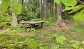 Tour Zu Fuß Bischofsgrüner Forst - Winterwanderweg Warmensteinach-Täfelein - Photo 3