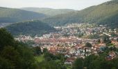 Tocht Te voet Eberbach - Rundwanderweg Wimmersbacher Steige 1: Bocksberg-Weg - Photo 1