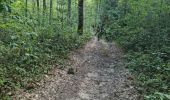Randonnée Marche Azé - Azé - Bois et Champs - Photo 17