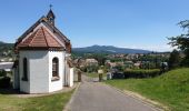 Tocht Stappen Villé - Le massif de la Honel - Photo 18