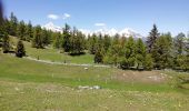 Trail Walking Zeneggen - Circuit Zeneggen - Toerbel - chemin panoramique 05.2019 - Photo 8