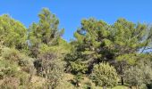 Randonnée Marche Fayence - fayence vallon de la camandre - Photo 10