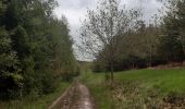 Tour Wandern Sprimont - autour du domaine des bruyères  - Photo 4