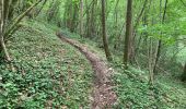 Trail Walking Dinant - RB-24-NA / Anseremme / 2020-06-14 / 20 km - Photo 6