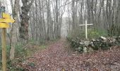 Trail Walking Aurignac - Aurignac Sentier Botanique  - Photo 6