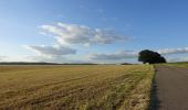 Tocht Stappen Neufchâteau - Massul - Lahérie - Photo 13