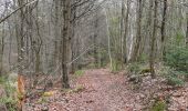 Excursión A pie Ludwigsburg - DE-SAV Rotes Kreuz, Lemberg-Poppenweiler - Photo 10