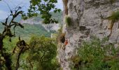 Excursión Senderismo Saint-Antonin-Noble-Val - Saint Antonin Noble Val - côte de Ouf et cirque de Baune - Photo 3