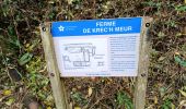 Tour Wandern Lannion - Lannion plage de Leguen - Photo 6