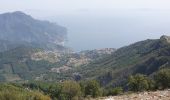 Trail Walking Agerola - les monts latari - Photo 5