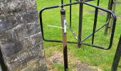 Tocht Stappen Houffalize - Engreux 080625 - Photo 14