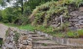 Tocht Stappen Orgeix - col de l'Osque 2021 - Photo 8