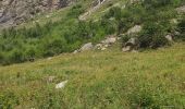 Tour Wandern Bonneval-sur-Arc - l'Ecot retour par sentier des Alouettes - Photo 8