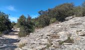 Trail Walking Le Beaucet - Le beaucet - St gens - le beaucet village et château  - Photo 16