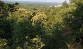 Excursión Senderismo Fontainebleau - Barbizon - Photo 1