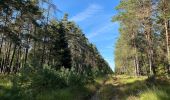 Trail On foot Südheide - Südheide 'Wo die Wölfe ihre Fährten ziehen' W9k (kurze Tour) - Photo 2