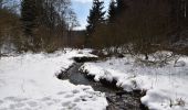 Trail Walking Bütgenbach - butgenbach-tour-du-lac-10-km - Photo 15